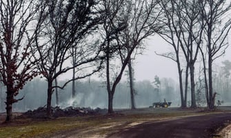 31368405