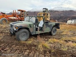 29490107