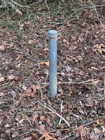29488297
