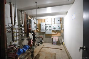 29533812