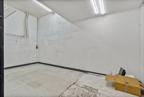 29489313
