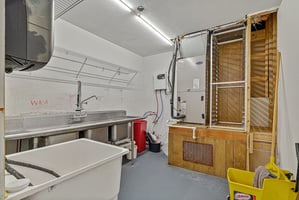 29489311