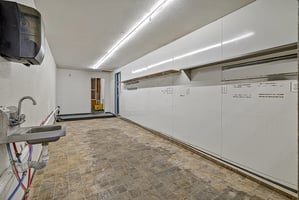 29489309