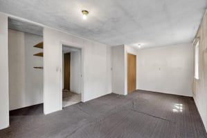 29489508