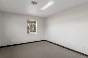 29491060