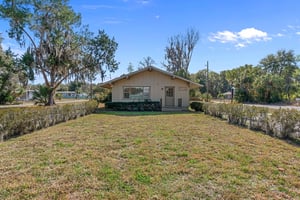 29491054