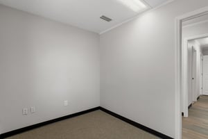 29491069