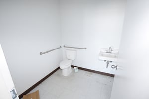 29492393