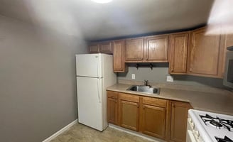 29492575