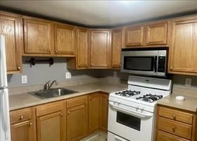 29492573