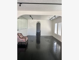 29521492