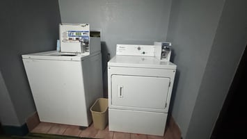 29494833
