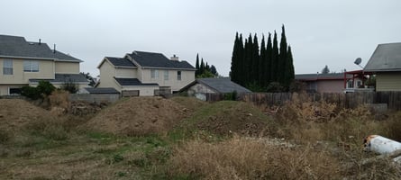 29494263