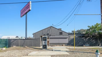 29495257
