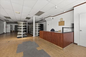 29496279