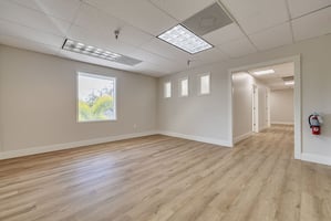 29496634
