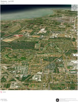29496482