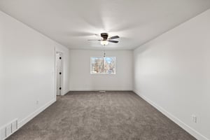 29497538
