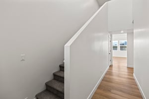 29497497