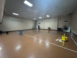 29497571