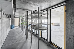 29530488