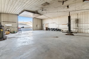 29522994