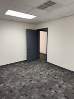 29497623