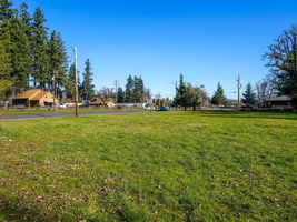 29499542
