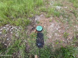 29499884