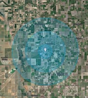 29499954