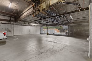 29499981