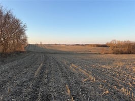 31675537