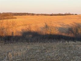 31675533