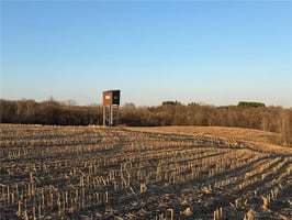 31675526