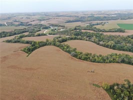 31675547