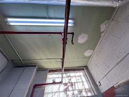 29502967
