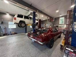 29503066