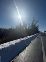 29503082
