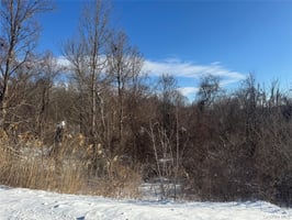 29503080