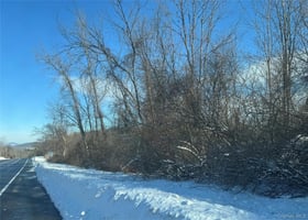 29503081