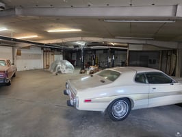29503793