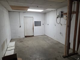 29503794