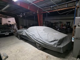 29503800