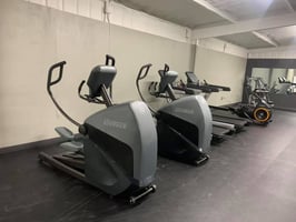 29504866