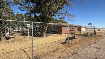 29504843
