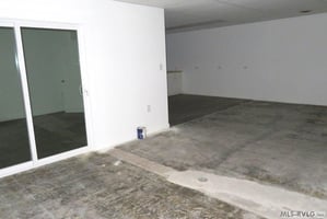 29505362