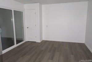 29505363