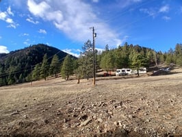 29505421