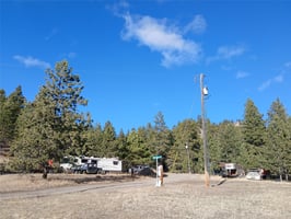 29505423