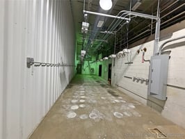 29505982